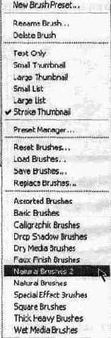 Инструмент Brush