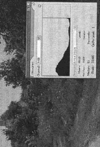 Панель Histogram