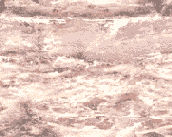 FILTER
