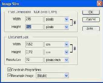    Image Size