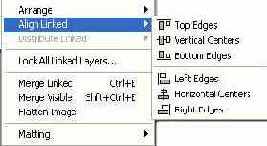   Layer  