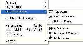   Layer > Distribute