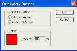     Quick Mask